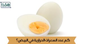 كم عدد السعرات الحرارية في البيض؟